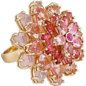 NWOT Kate Spade Ombre Boutique Roses Multi Set